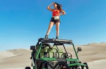 Paracas with Ica and Oasis Hucachina Full Day Tour from Lima