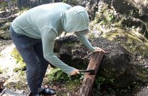 Big Island Jungle Tour with Banana and Guava Green Tea