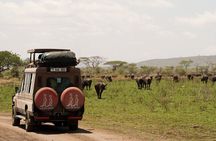 3 Days Tarangire Lake Manyara and Ngorongoro Mid-Range Safari