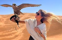 Private Evening Desert Safari with BBQ dinner