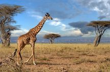 5 Days Mid-Range Group Safari with Accommodation 
