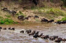 5 Days Mid-Range Group Safari with Accommodation 