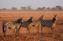 5 Days Mid-Range Group Safari with Accommodation 