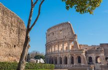 Colosseum Guided Tour and Ancient Rome 