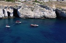Private tour with fish products and Full Drinks
