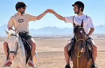 Hurghada Desert and Beach Horse Riding Tour: 2 Hours