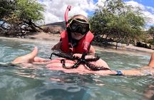 Unlimited Guided Snorkeling Tour for Beginners Plus