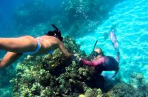 Unlimited Guided Snorkeling Tour for Beginners Plus