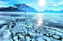 Icefields Parkway and Abraham Lake Bubbles Private Tour
