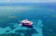 Half Day Great Barrier Reef Snorkeling Trip