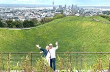 Auckland City Top Spots Half Day Private Tour
