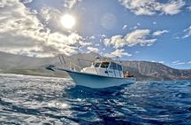 Private Whale Watch and Snorkel off Kaua'i