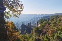Private Zhangjiajie National Forest Park Day Tour