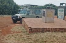 Afternoon Game Drive Nairobi National Park
