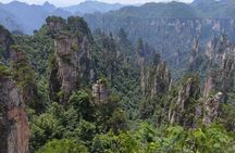 1 Day Avatar Mountain & Fores Park Group Tour with VIP Access