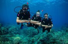 Cairns Value Outer Barrier Reef trip with Scuba Diving included