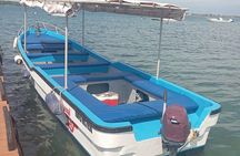 Wasini Dolphin and Snorkeling Excursion