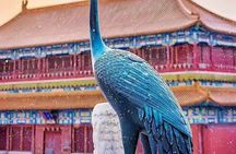 Beijing Forbidden City and Summer Palace Private Guide Tour 