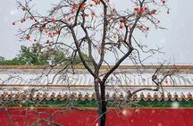 Beijing Forbidden City and Temple Heaven Private Guide Tour