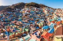For Cruise Guest Stopover Busan City One-day Tour