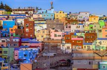 For Cruise Guest Stopover Busan City One-day Tour