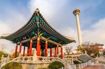 For Cruise Guest Stopover Busan City One-day Tour