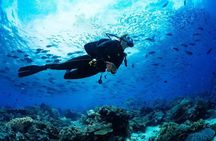  Experience Nha Trang Scuba Diving with Certified Dive