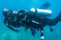  Experience Nha Trang Scuba Diving with Certified Dive
