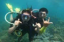  Experience Nha Trang Scuba Diving with Certified Dive