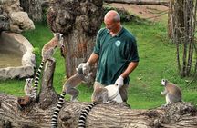 Rome: Entrance ticket Zoo + Golf Cart tour of Villa Borghese