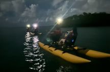 Bioluminescent Bay Chiliboats Waterbike Tour in La Parguera