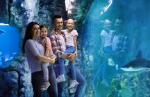 San Francisco California Academy of Sciences with Admission