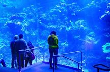 San Francisco California Academy of Sciences with Admission