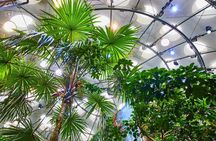 San Francisco California Academy of Sciences with Admission