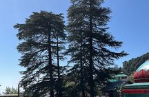 The Story Of Himalayas - A Journey from Amritsar to Dharamshala
