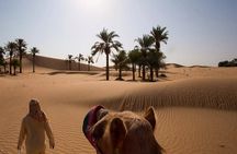Morning Desert Safari with Red Dune Buggy and Camel Ride Dubai