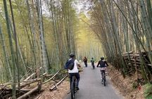 Kyoto Gion & Fushimi E-Bike Tour with Hotel Transfer