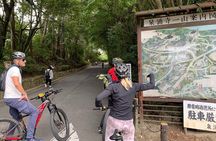 Kyoto Gion & Fushimi E-Bike Tour with Hotel Transfer