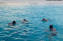 Luxury and Private Snorkel with Beach and Sunset View