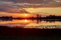Shannon Walking Tour with Local Storyteller