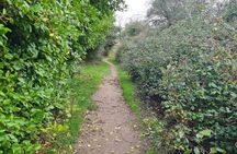 Shannon Walking Tour with Local Storyteller