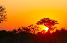 3 Days Private Trip to Victoria Falls Chobe Tour 
