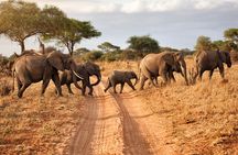 4 Days Private Mid - Range Safari and Balloon Safari