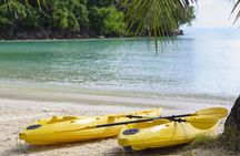 Guided Kayak Tour from Elysian