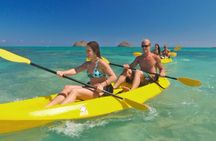 Guided Kayak Tour from Elysian