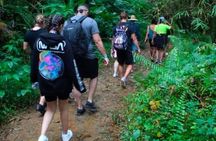 "Off the beaten path" Rain Forest Guided hike with Transportation