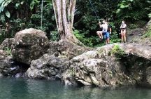 "Off the beaten path" Rain Forest Guided hike with Transportation