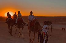 Marrakech Camel Ride and Traditional Dinner in Agafay Desert