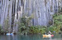 Kayak Petrohue River Viguerias from 2 to 6 people