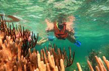 ATV Adventure Combo with Snorkeling, Ziplines, Cenote, and Lunch